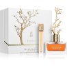 Aurora Scents Deciduous Summer EDP 100 ml — obal produktu; detail; na bílém pozadí