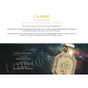 Fragrance World Genesis Gemini (Kaksikud) EDP 100 ml — toote vaade; lähivaade; toote infograafika; lähim kadreering