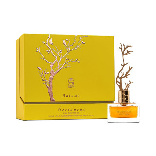 Aurora Scents Deciduous Autumn EDP 100 ml — упаковка товара; крупный план; на белом фоне