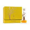 Aurora Scents Deciduous Autumn EDP 100 ml — упаковка товара; крупный план; на белом фоне