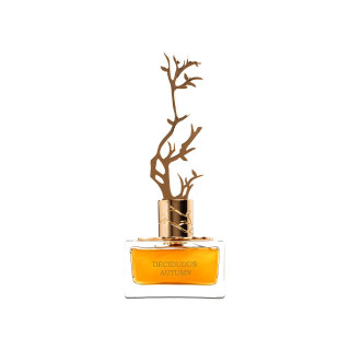 Aurora Scents Deciduous Autumn EDP 100 ml — товар спереди; полная композиция; на белом фоне