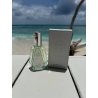 Fragrance World Elysia Pista Sundae EDP 50 ml — товар в стилизованной композиции; очень крупный план; на открытом воздухе