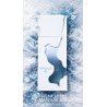Fragrance World Ravine Ice EDP 100 ml — product en verpakking; close-up; op een witte achtergrond; meest nabije kadrering
