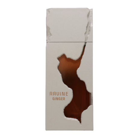 Fragrance World Ravine Ginger EDP 100 ml — συσκευασία προϊόντος; κοντινή λήψη; σε λευκό φόντο