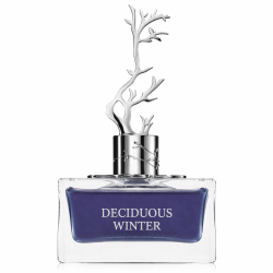 Aurora Scents Deciduous Winter EDP 100 ml — товар спереди; крупный план; на белом фоне