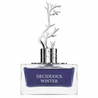 Aurora Scents Deciduous Winter EDP 100 ml — toode eestvaates; lähivaade; valgel taustal