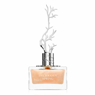 Aurora Scents Deciduous Spring EDP 100 ml — товар спереди; крупный план; на белом фоне