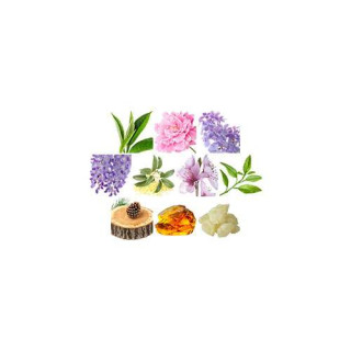 Fragrance World Eclat La Violette EDP 100 ml — toote vaade; lai kompositsioon; valgel taustal