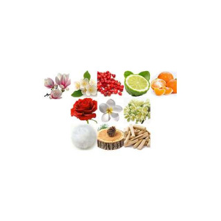 Fragrance World ESSCENTRIC 05 EDP 100 ml — vista do produto; composição ampla; sobre fundo branco