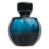 Fragrance World Passion De Night EDP 100 ml — toote vaade; lähivaade; valgel taustal