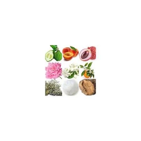 Fleur Narcotique ➔ (Ex Nihilo Fleur Narcotique) ➔ Arabiški kvepalai ➔ Fragrance World ➔ Unisex kvepalai ➔ 5