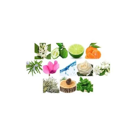 Aqua De Classic ➔ (Armani Acqua di gio) ➔ perfume árabe ➔ Fragrance World ➔ Perfume masculino ➔ 3