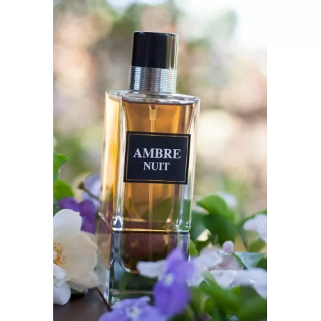 Ambre Nuit ➔ (Christian Dior Ambre Nuit) ➔ perfume árabe ➔ Fragrance World ➔ Perfume masculino ➔ 4