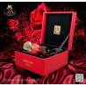 Fragrance World Paradox Rossa EDP 100 ml — produkt ve stylizované kompozici; velmi detailní záběr; na barevném pozadí