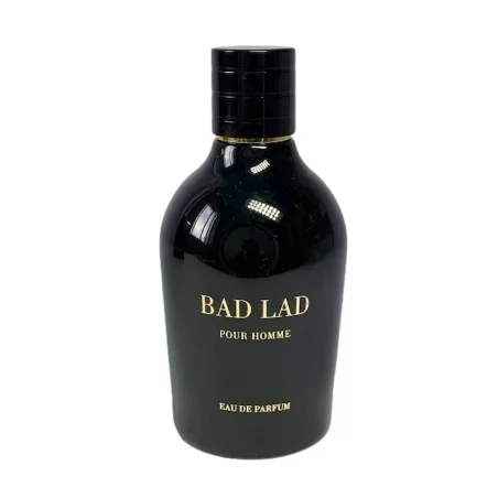 Bad Boy arabiška aromato versija vyrams, EDP, 100ml. Fragrance World - 4