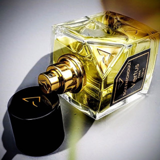 Vertus Paris Niche Perfume Sole Patchouli EDP 100 ml — товар и упаковка; очень крупный план; на тёмном фоне; самый близкий кадр