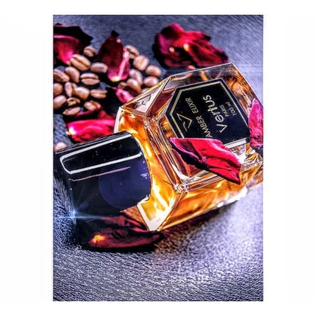 Vertus Amber Elixir ➔ Vertus Paris Niche Perfume ➔ VERTUS PERFUME ➔ 4