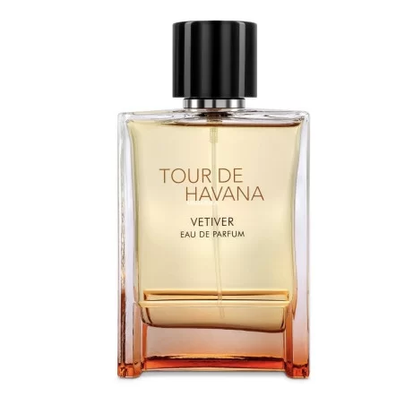 TOUR DE HAVANA Vetiver (Hermes Terre D'hermes Eau Intense Vetiver) Perfume árabe ➔ Fragrance World ➔ Perfume masculino ➔ 2